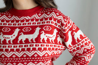 Patterned Christmas Crewneck Sweater